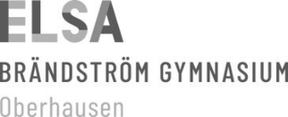 ELSA_Logo_grau